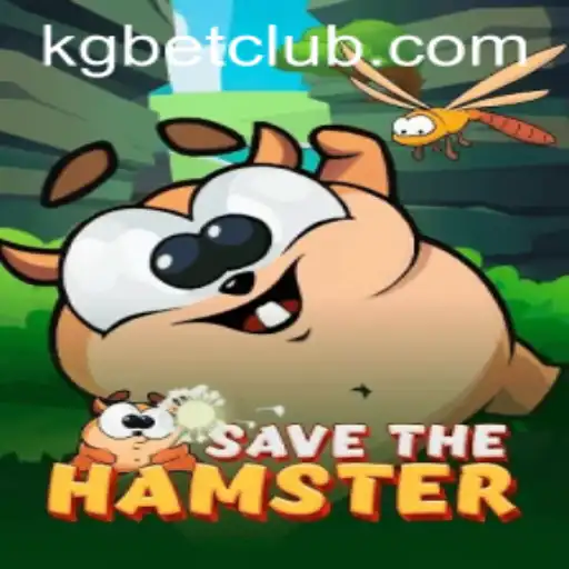 SavetheHamster: A Challenging Adventure with a Twist